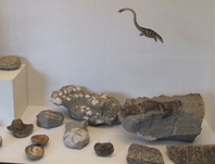fossils.jpg