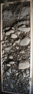 soilprofile_Rapuara_LR.jpg